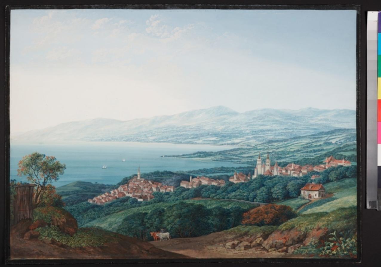 Extrait pictural du cadastre Melotte, montrant terres et vignes