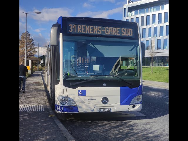 Ligne 31 et campus